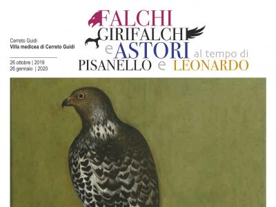 Falchi, girifalchi e astori al tempo di Pisanello e Leonardo